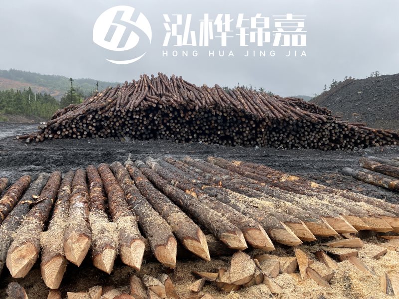 6米長松木樁有哪些作用，多少錢一根？