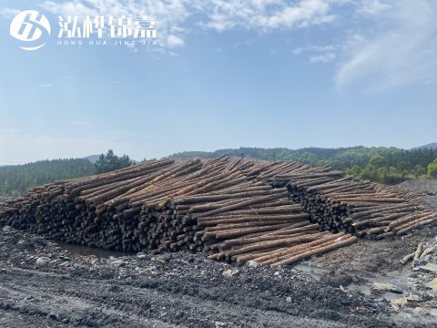 河道打樁為什么選擇松木樁來處理軟地基？-松木樁施工使用范圍
