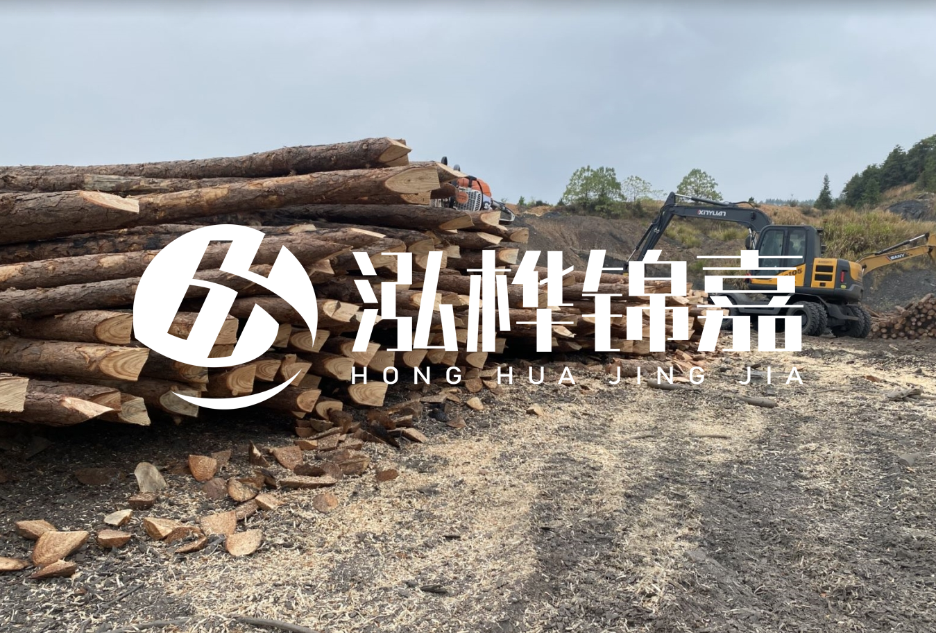 松木樁尾徑是什么意思？