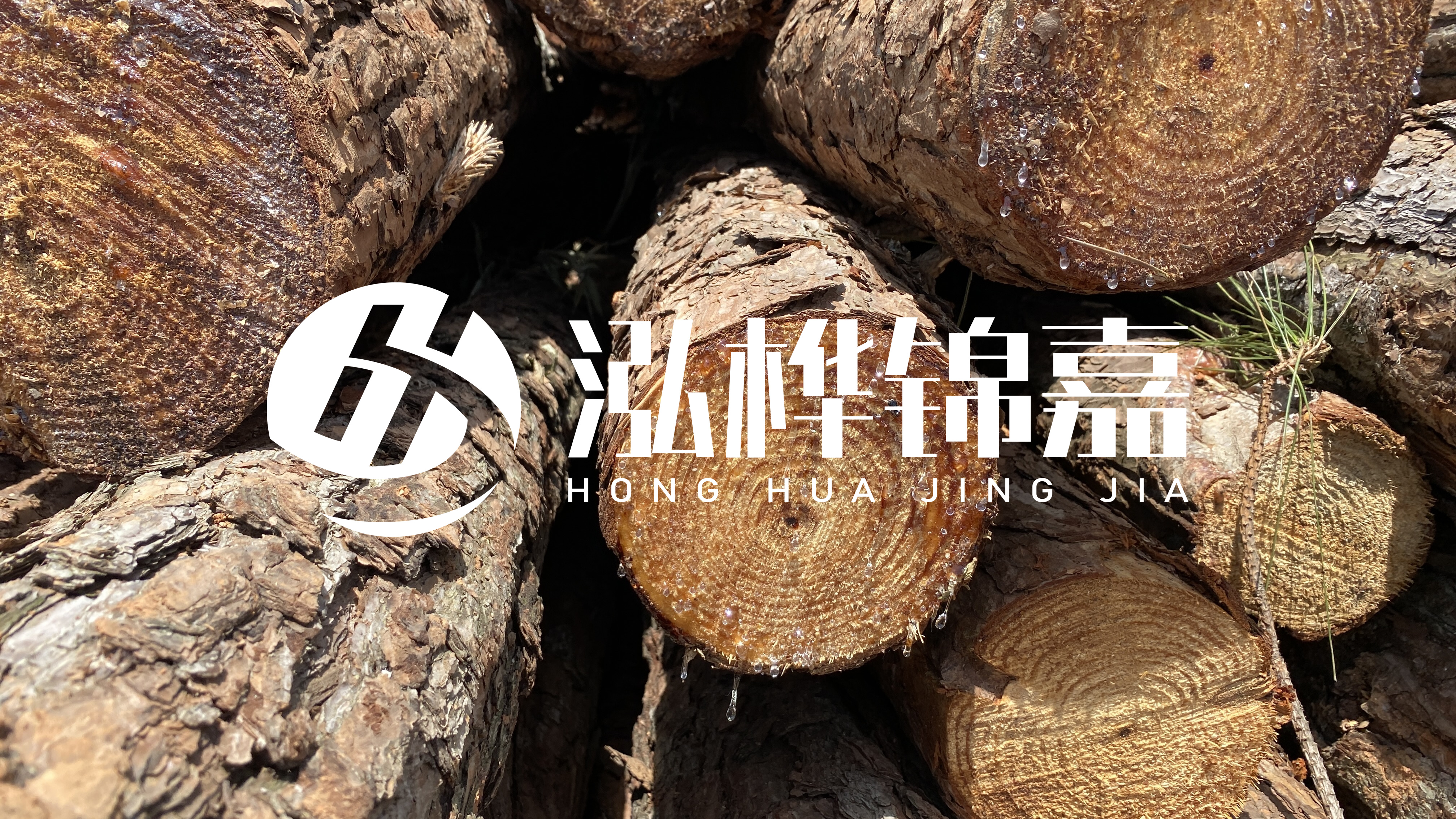 為什么要用松木樁治理河道？