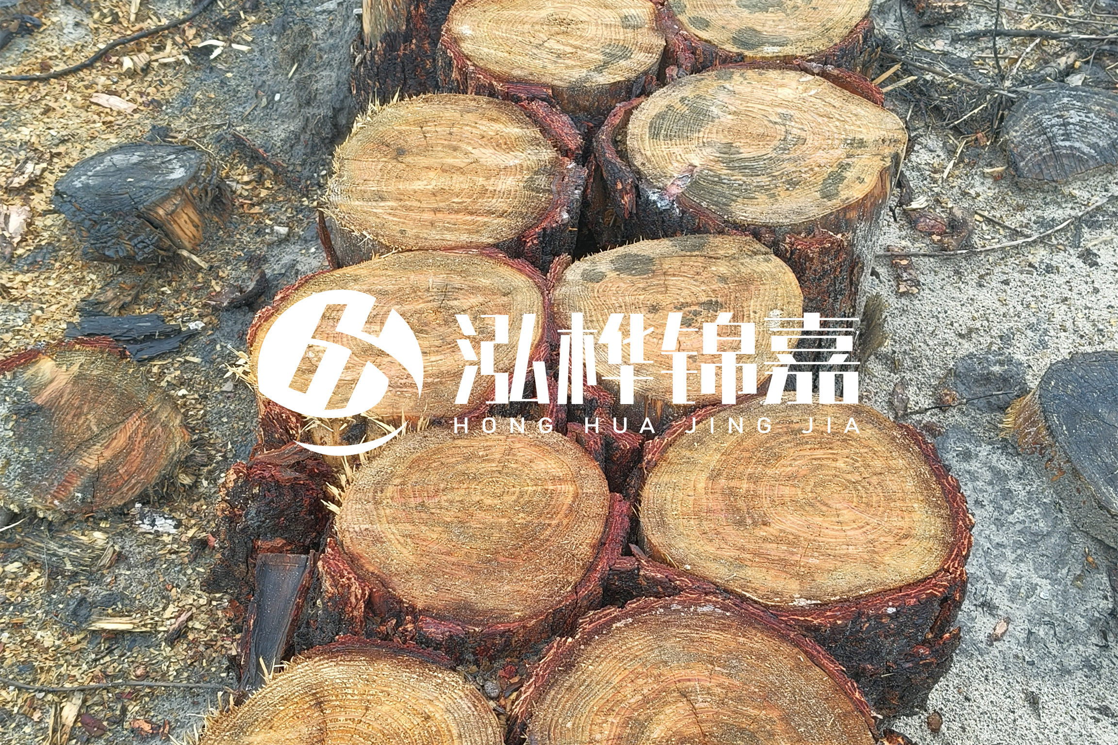浙江臺州有清淤的公司嗎？浙江臺州有清淤施工隊嗎？