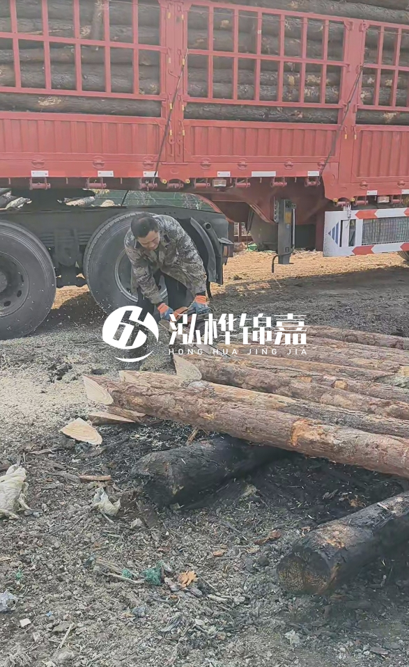 2米松木樁多少錢一根？15-20CM直徑價格是多少？