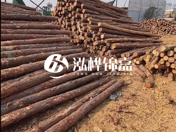 河道木樁施工遇到淤泥怎么辦？打多深才能防沖刷？