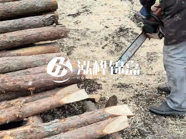 杉木樁批發(fā)廠家哪家好？產(chǎn)地直供渠道推薦！