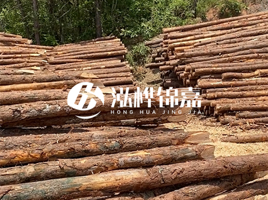 松木樁的運(yùn)輸費(fèi)用是否包含卸車費(fèi)？卸貨時(shí)需要注意哪些安全問題？