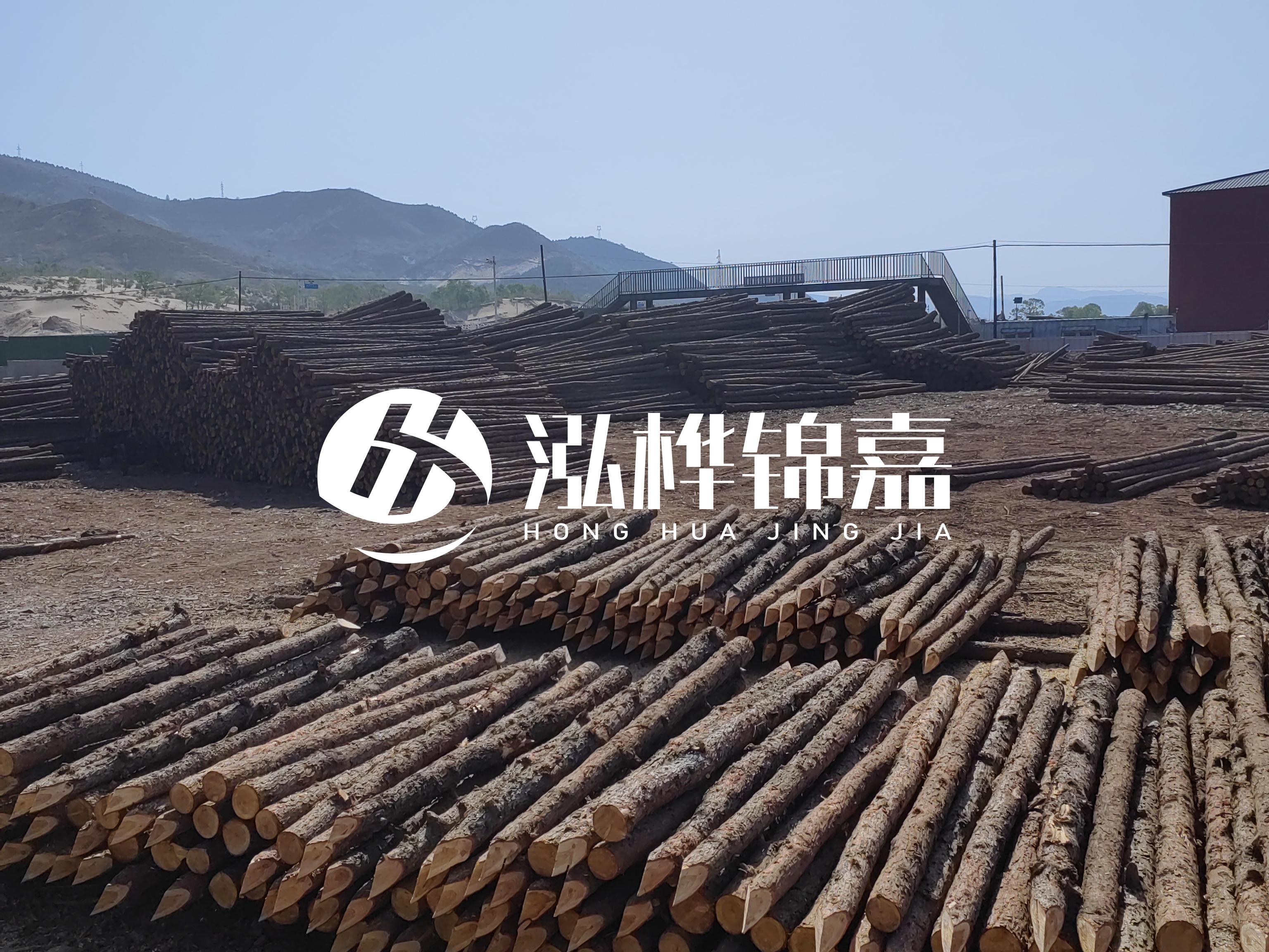 江蘇打樁木源頭廠家泓樺錦嘉-4米打樁木大頭14-16小頭一般多少？