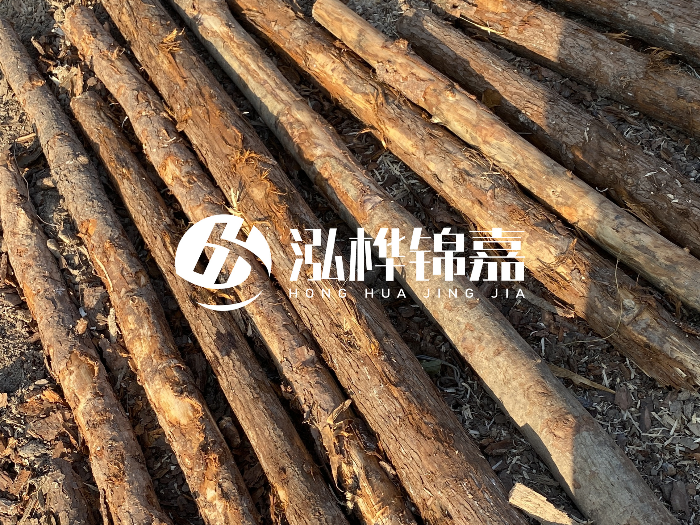 河道木樁多少錢一根？河道木樁的使用以及保養(yǎng)方法?