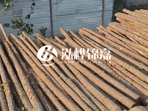 松木樁打樁后清淤怎么處理？有沒有全包的公司？