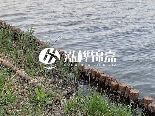 防洪松木樁施工重要性？河道打木樁的位置怎么確定？