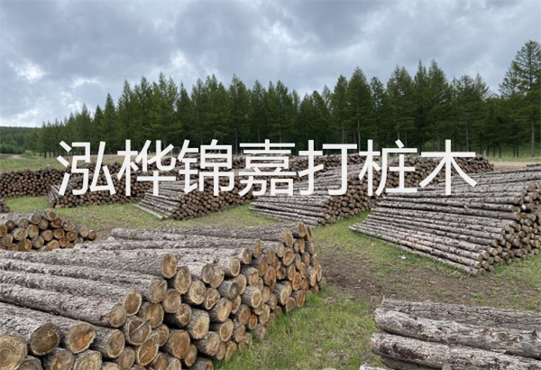 水杉養(yǎng)殖方法與技巧，水杉怎么養(yǎng)家庭養(yǎng)法