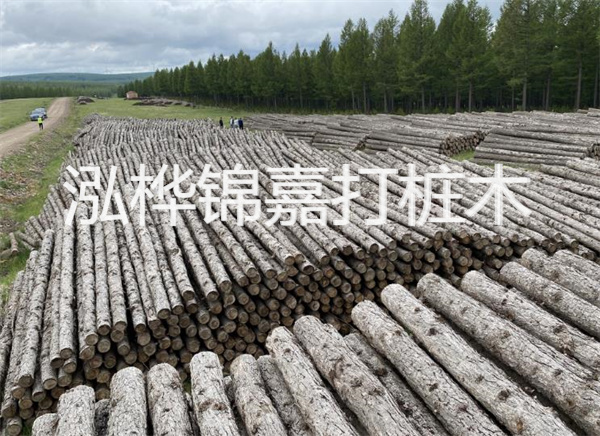 河道打木樁施工方案怎么寫，河道打木樁施工方案范本